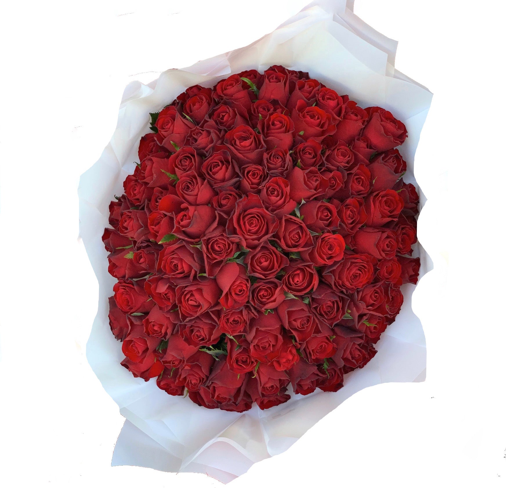 Grandeur - 100 Premium Red Roses