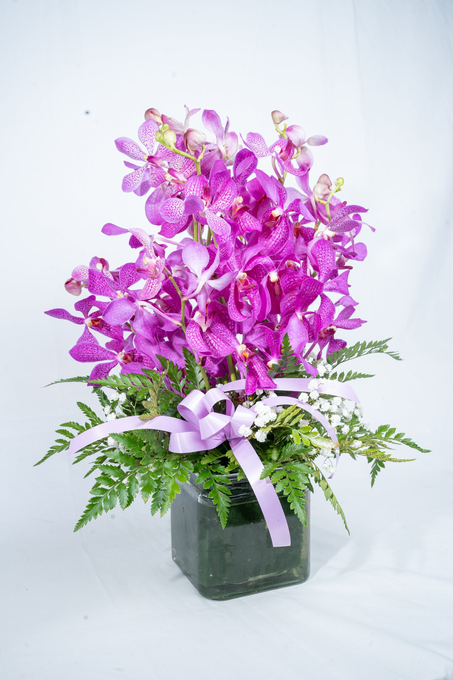 Pink Vanda Orchids with Vase