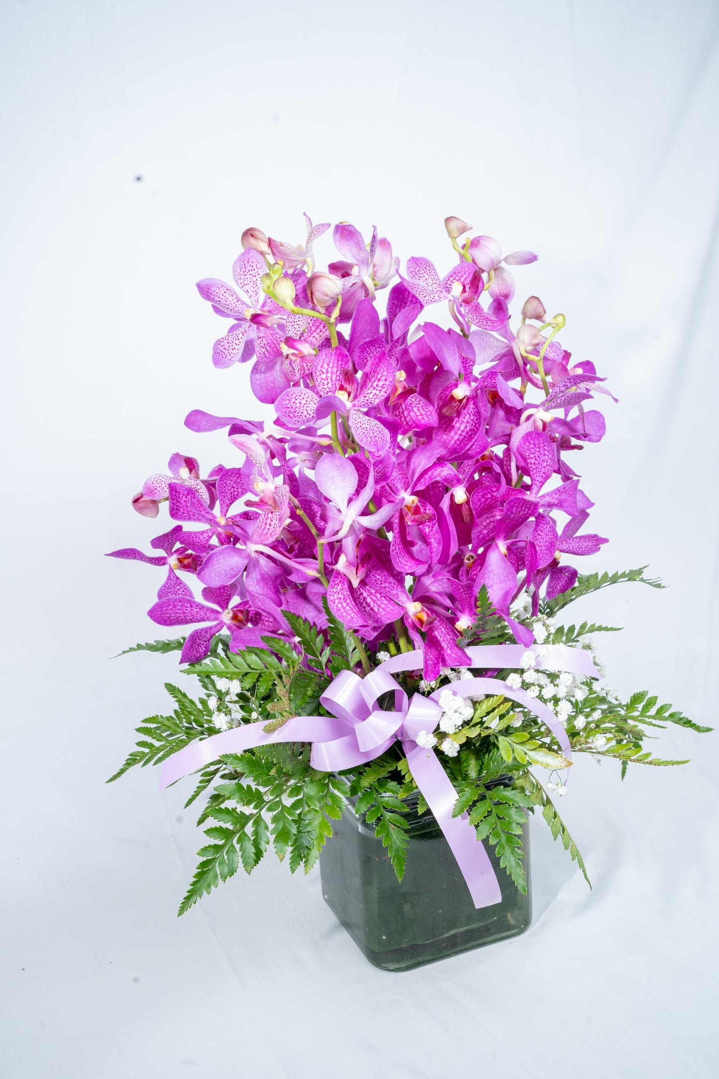 Pink Vanda Orchids with Vase