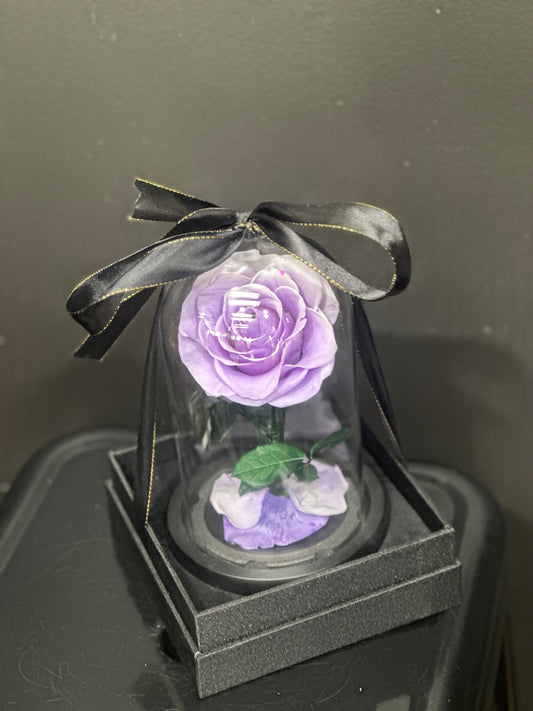 Eternity Roses [Purple]